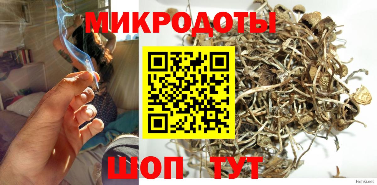 Псилоцибиновые грибы GOLDEN TEACHER  Галлюциногенные грибы мухоморы  Вход с VPN  Железноводск 